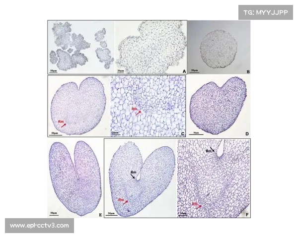 基于恢复再生体系多维矩阵的冷热疗法与营养补充促进运动员超量恢复研究